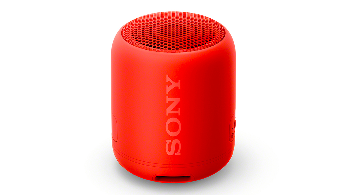 Revisión de la carcasa Sony SRS-XB12